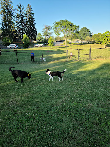 Gypsy Hill Dog Park