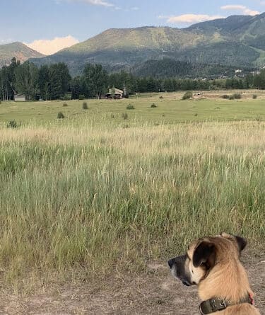 Rita Valentine Dog Park