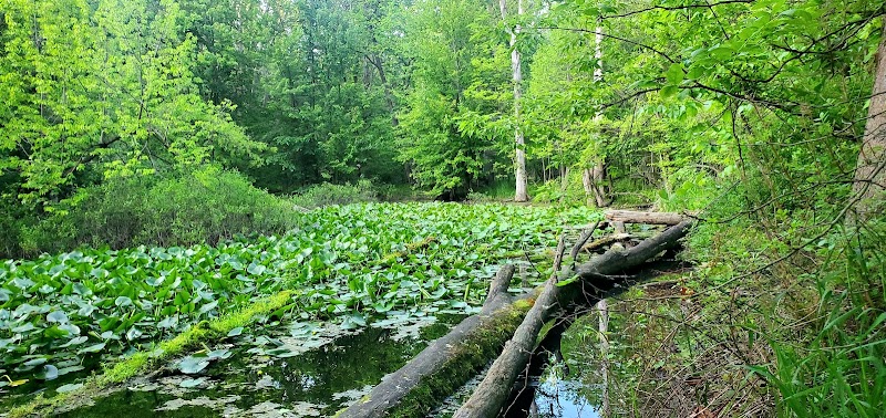 Farmstead Park - Sterling Heights,