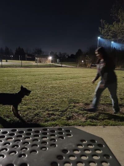 Joseph Delia Park, Tennis Court and Dog Park - Sterling Heights,