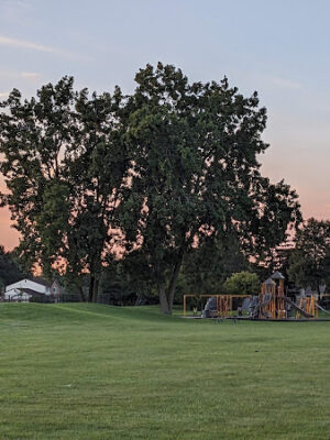 Arlingdale Park