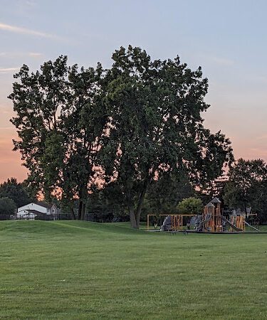 Arlingdale Park