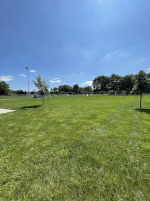 Baumgartner Park