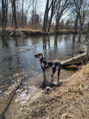 Clinton River Park North