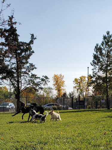 Joseph Delia Park, Tennis Court and Dog Park