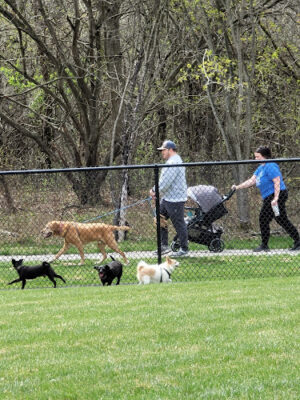 Joseph J. Delia Jr. Park