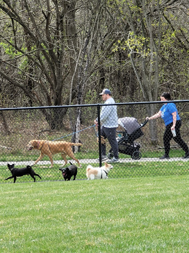 Joseph J. Delia Jr. Park