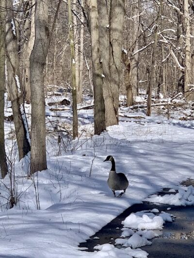 Trailhead - Sterling Heights,