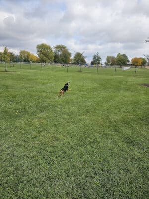Dogwood Acres Dog Park