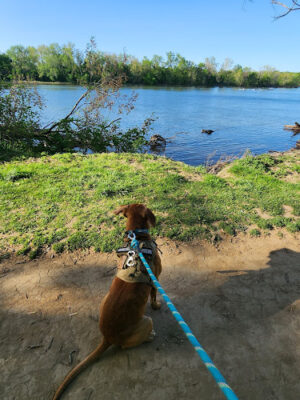 Algonkian Regional Park