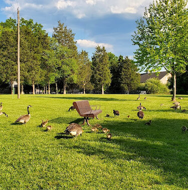 Claude Moore Park Visitor Center
