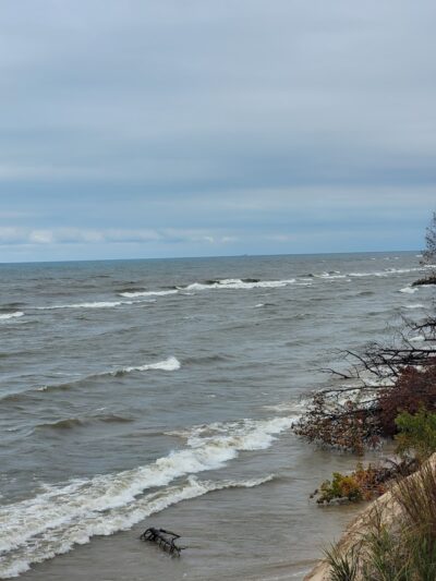 Grand Mere State Park - Stevensville,