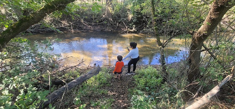 Hickory Creek Park - Stevensville,
