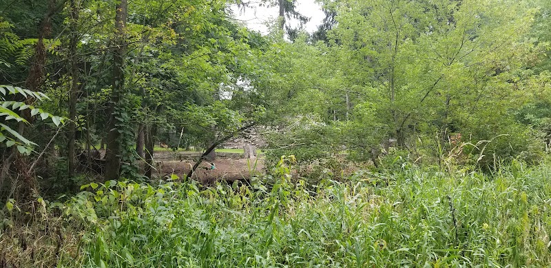Jung Memorial Nature Area and Trail - Stevensville,