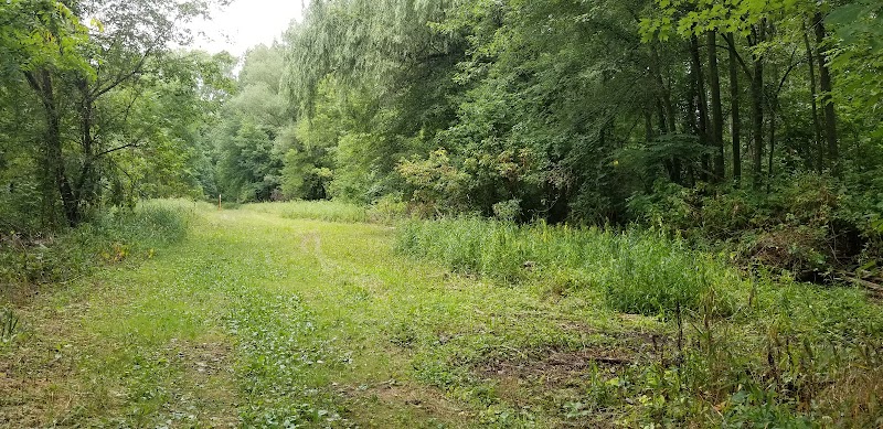 Jung Memorial Nature Area and Trail - Stevensville,