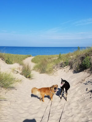 Grand Mere State Park