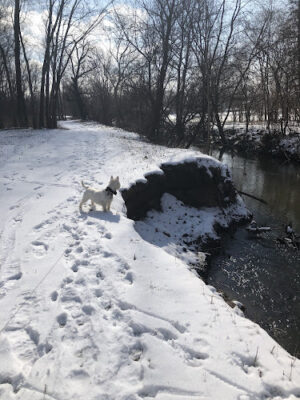 Jung Memorial Nature Area and Trail