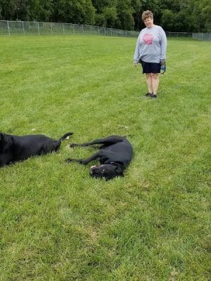 Stewartville Dog Park