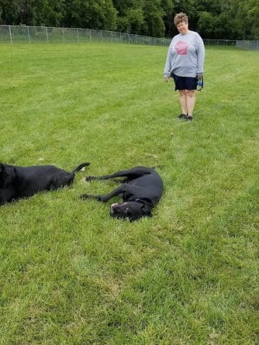 Stewartville Dog Park