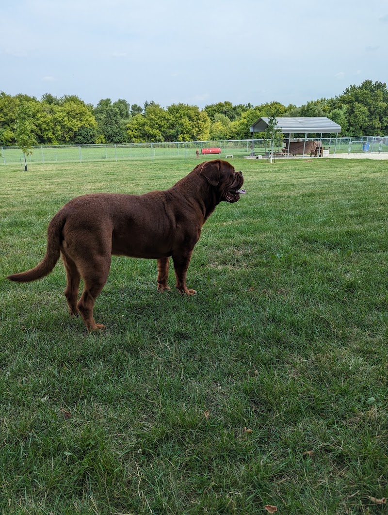 Stewartville Dog Park - Stewartville, MN