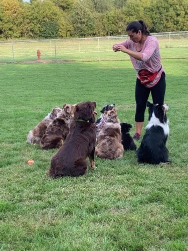 Stewartville Dog Park