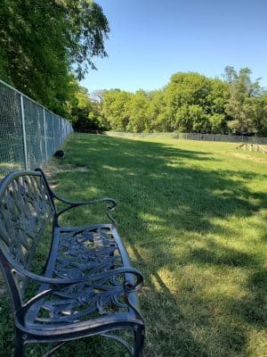Stewartville Dog Park