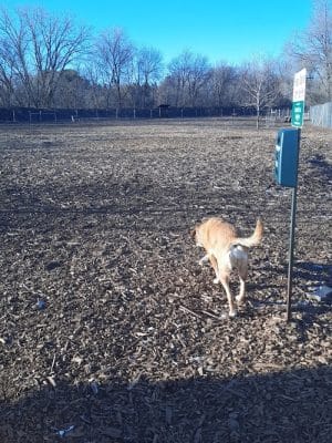 Stillwater MN Dog Park