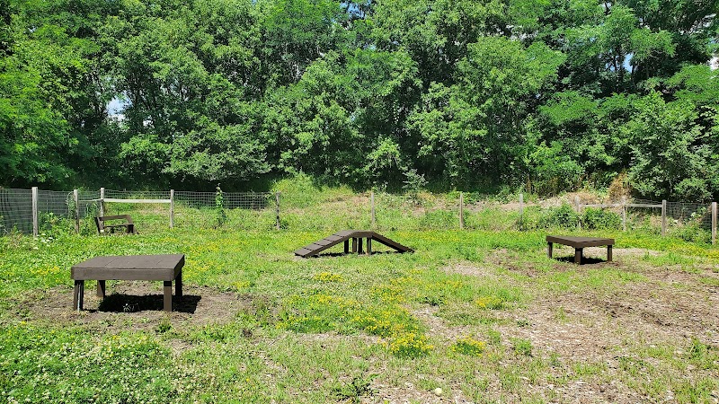 Stillwater MN Dog Park - Stillwater, MN
