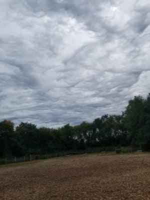 Stillwater MN Dog Park