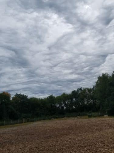 Stillwater MN Dog Park