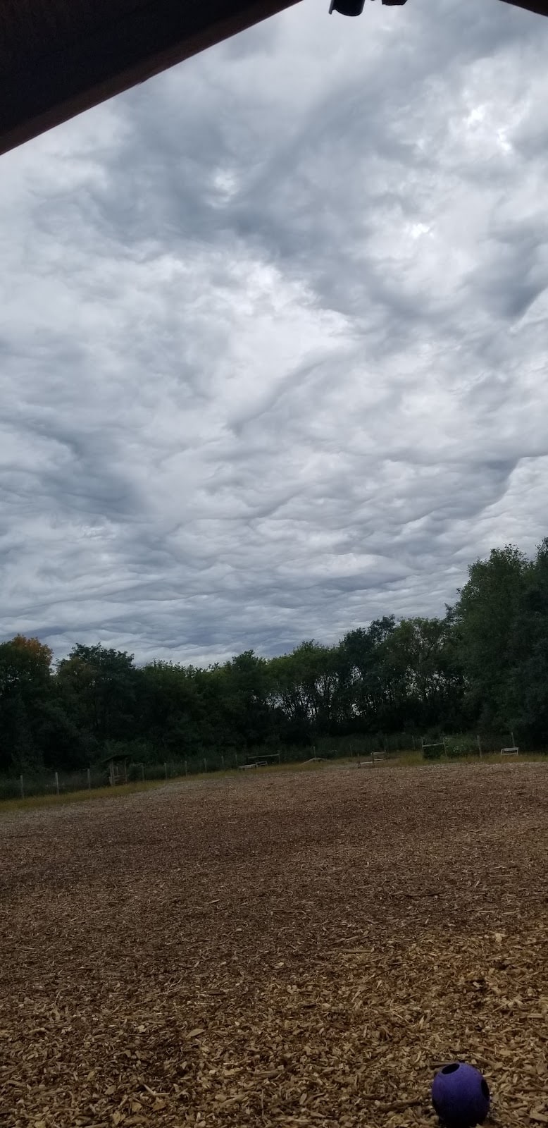 Stillwater MN Dog Park - Stillwater, MN