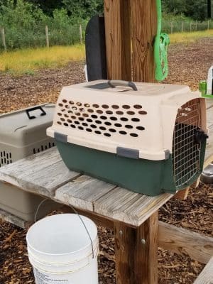 Stillwater MN Dog Park