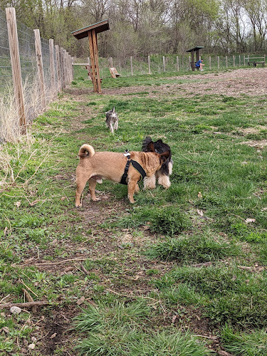 Stillwater MN Dog Park
