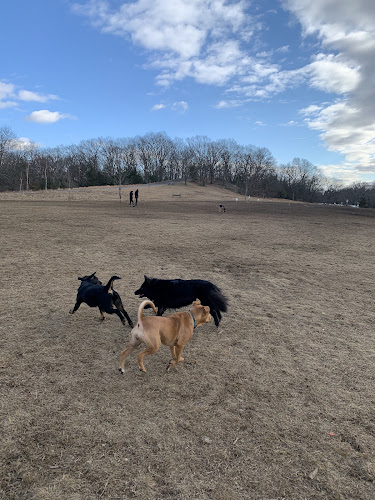 Sheepfold Dog Park