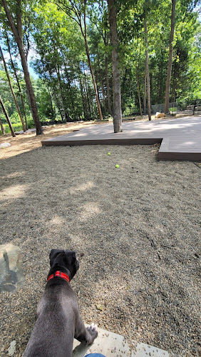 Capen-Reynolds Dog Park and Public Gardens