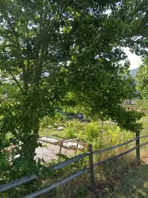 Strasburg Dog Park - Strasburg, VA