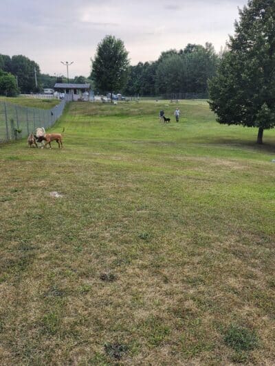 Shiloh Road Bark Park - Sturgeon Bay, WI