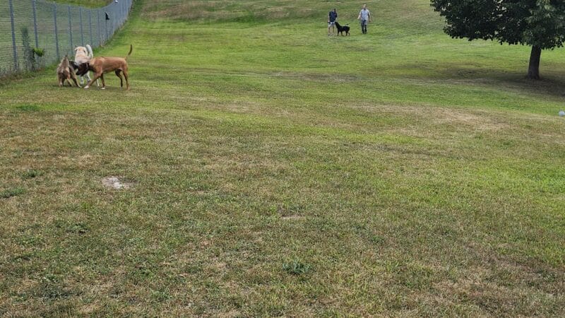 Shiloh Road Bark Park - Sturgeon Bay, WI
