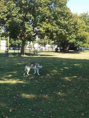 Old Depot Dog Park