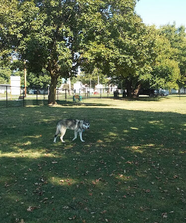 Old Depot Dog Park
