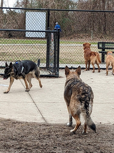 Lake Meade Dog Park