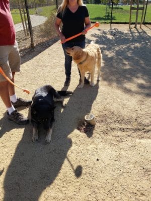 Lawler Ranch Park