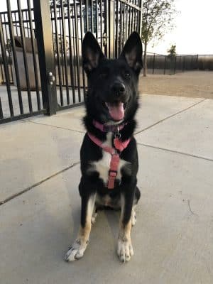 Lawler Ranch Park