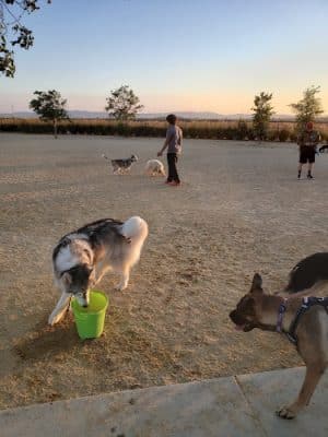 Lawler Ranch Park