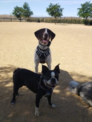 Lawler Ranch Park