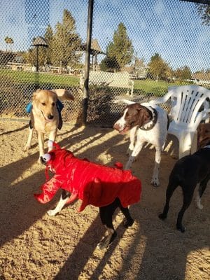 Lawler Ranch Park