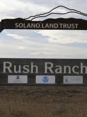 Rush Ranch Open Space