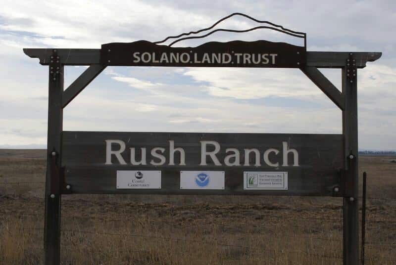 Rush Ranch Open Space - Suisun City, CA