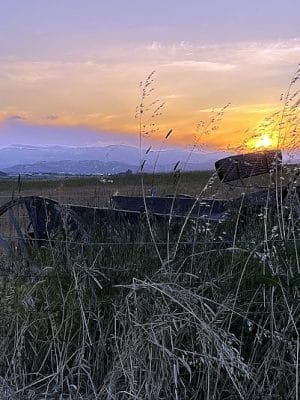 Rush Ranch Open Space