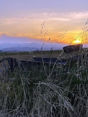 Rush Ranch Open Space